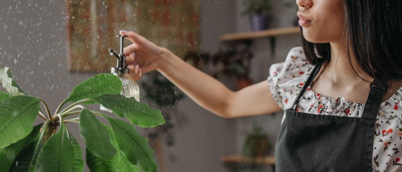 Bien choisir son brumisateur : pulvérisateur manuel, électronique ou humidificateur d&rsquo;air