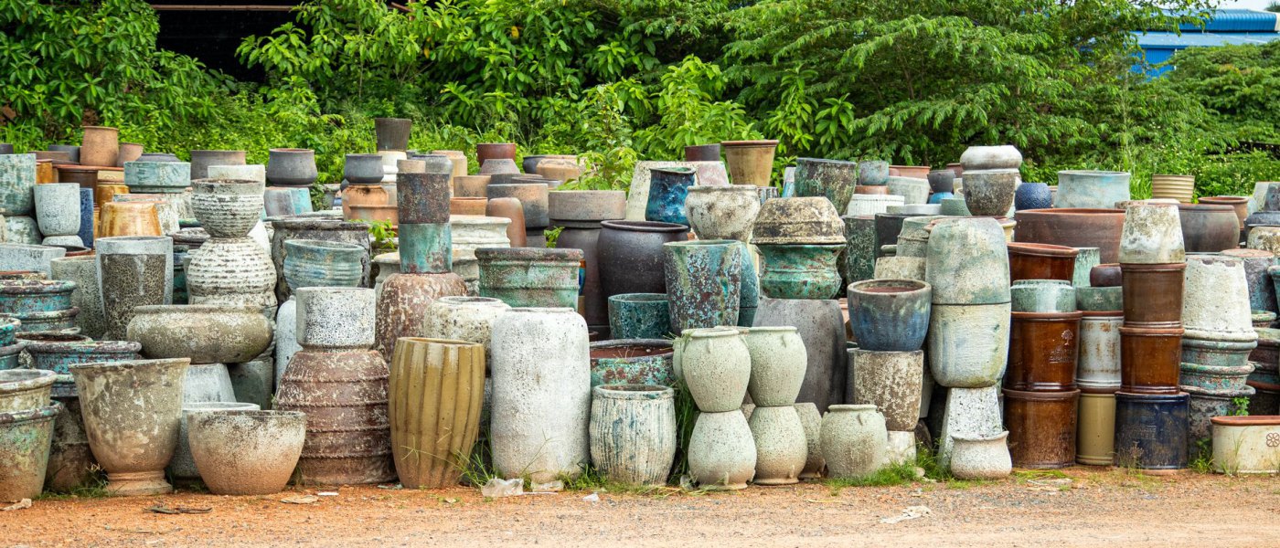 Pots en céramique ou en plastique : que choisir pour vos plantes tropicales